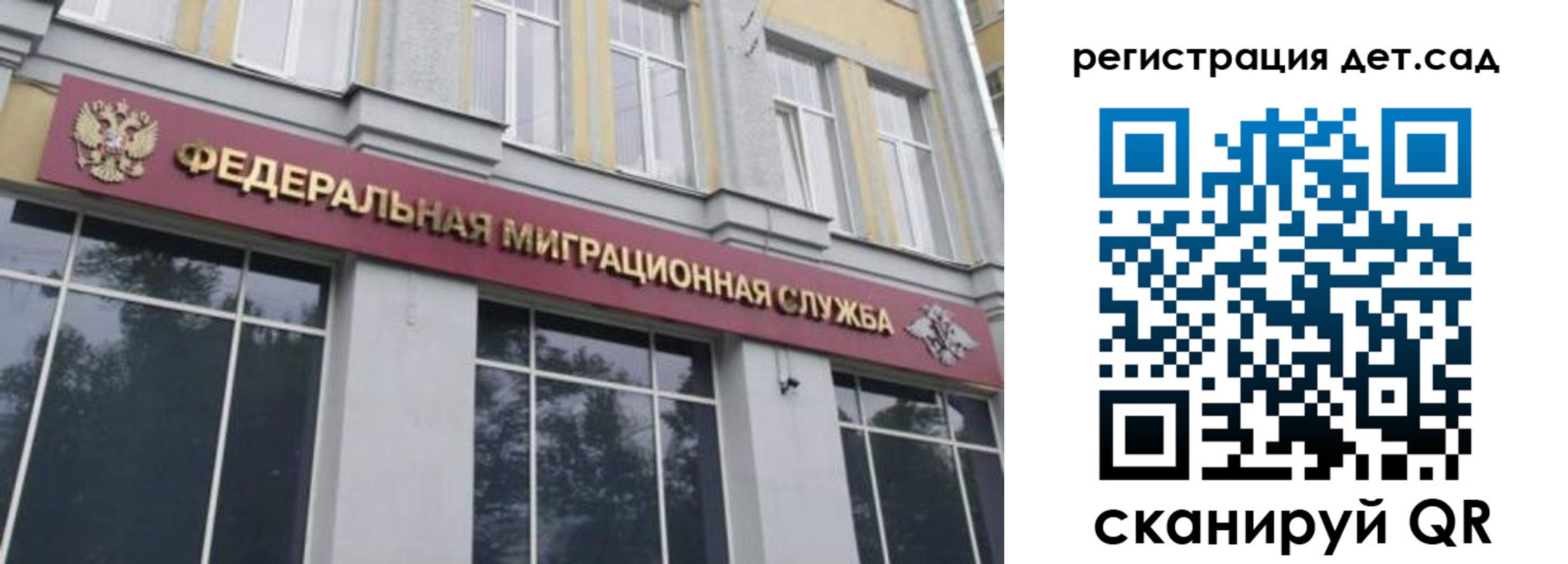 прописка поиск в Ростове-на-Дону